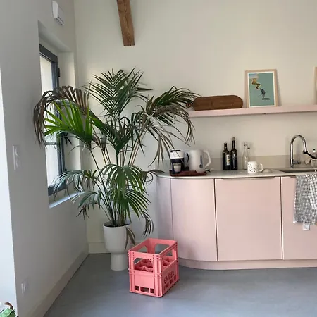 Loft Au Chateau Apartment *